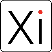 digitalxi Inc