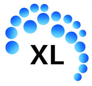 XL Consulting Group