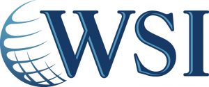 WSI | Web Strategist