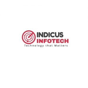Indicus Infotech