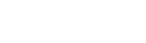 Web Solutions Master