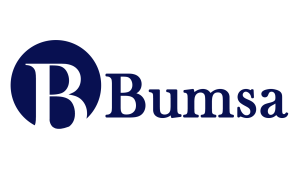 Bumsa Inc.