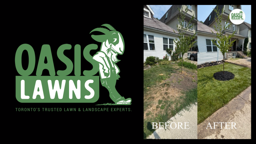 Small Business Spotlight: Oasis Lawns